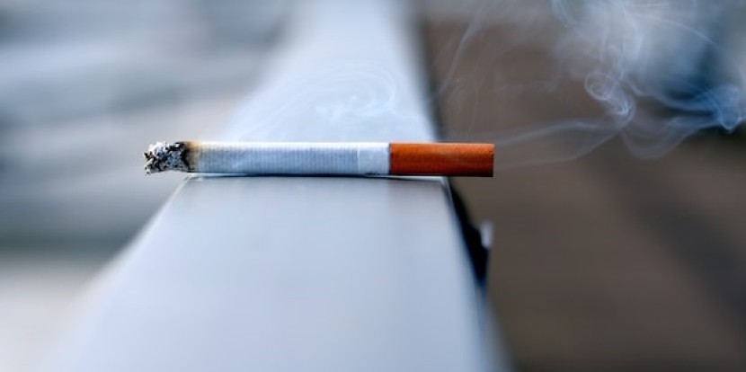 Neue Fakten – Warum Rauchen dem Herzen mehr schadet als bisher angenommen (Webiscript)