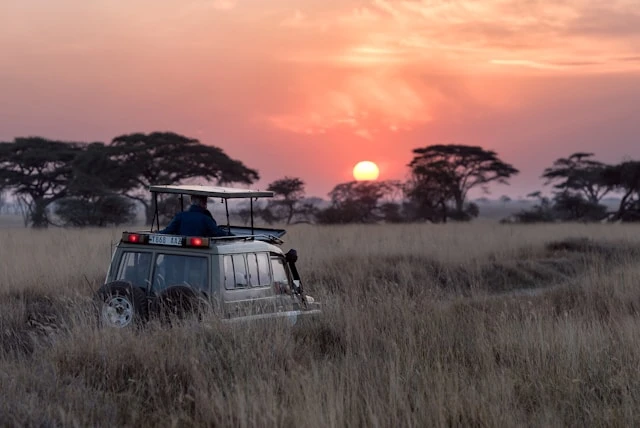 safari in afrika machen