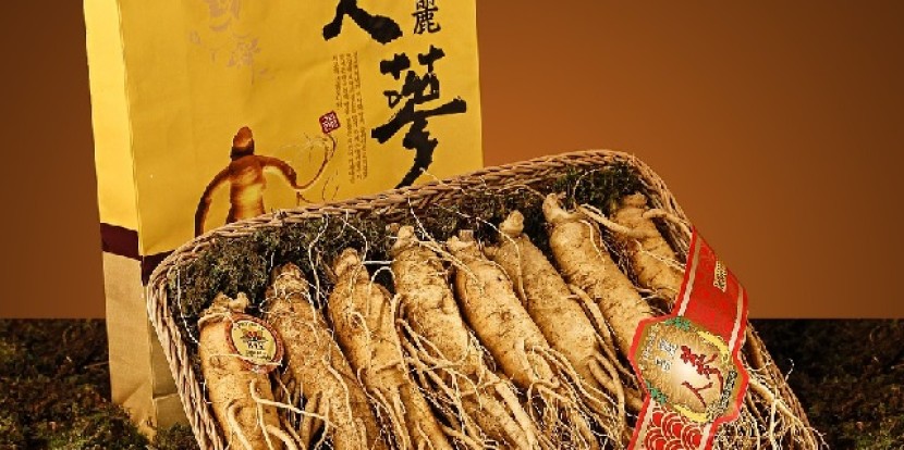 10 Gründe warum Ginseng immer beliebter wird – es soll die Selbstheilung des Körpers fördern