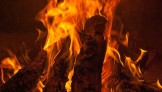 Warum das Heizen mit Holz gut für die Umwelt und das Klima ist