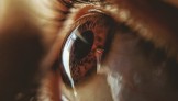 Wenn die Seele den Körper krank macht | Über die Komplexität der psychosomatischen Gesundheit