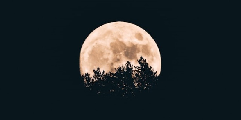 Dann gute Nacht, Deutschland - Wirtschaftsexpertin sieht Zukunft pessimistisch